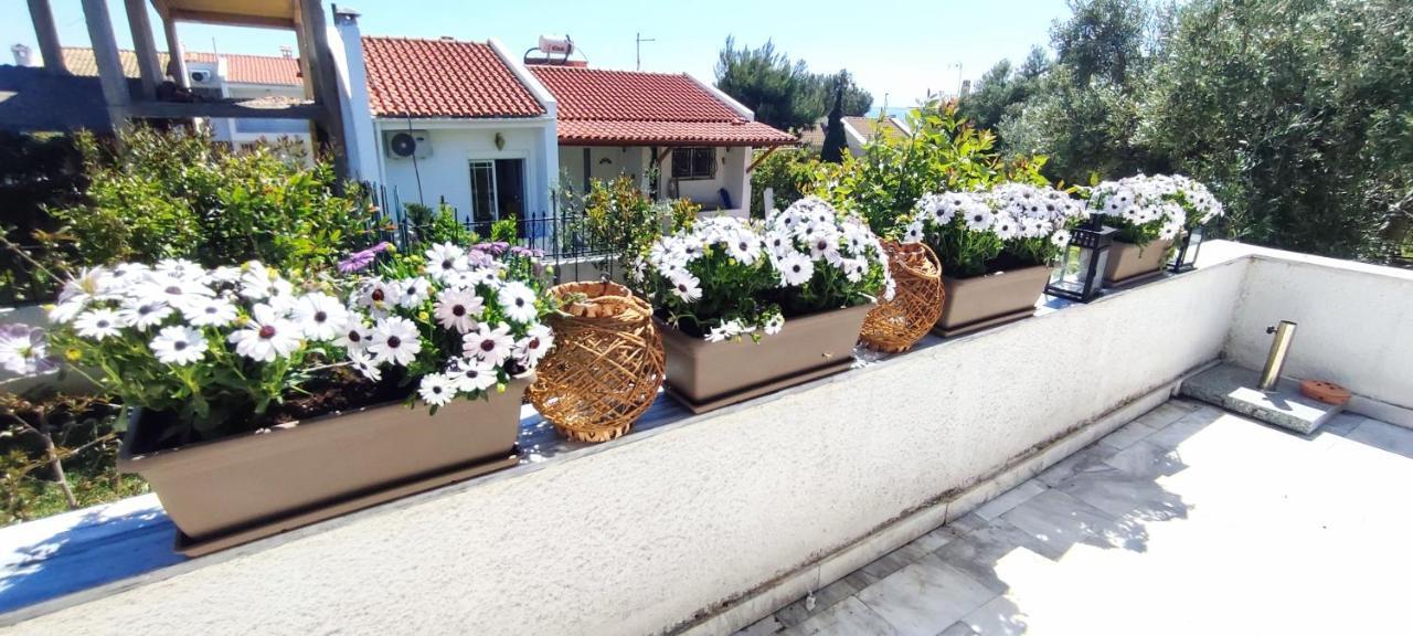 Villa Βianca In Sithonia Gerakini Exterior photo